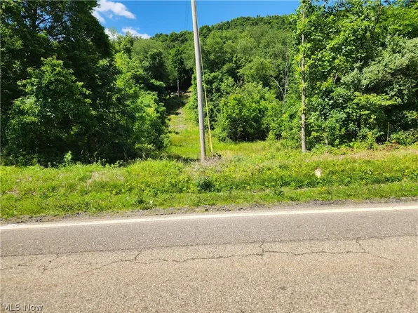 E State Route 258 St, Newcomerstown, OH 43832