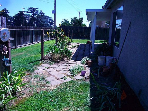 Back Yard 2