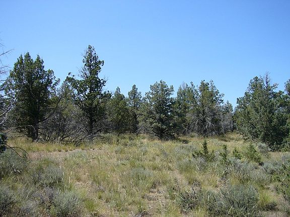 5th image of Yuba Meba Rancho Rd