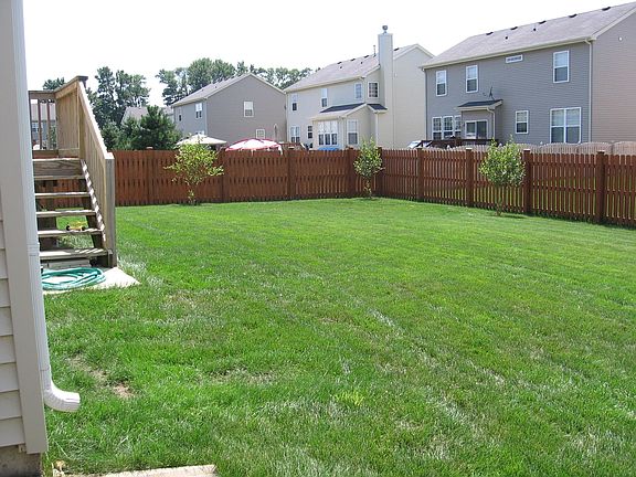 Large Backyard