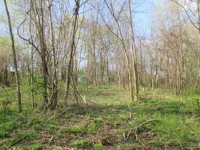 0 S Minnesota Ave, Cape Girardeau, MO, 63703