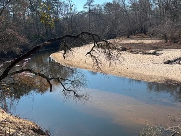 592 Clifford Meeks Rd, Collins, GA 30421