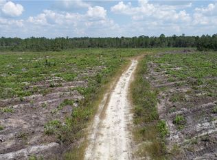 0 County Line Rd, Hinesville, GA 31313