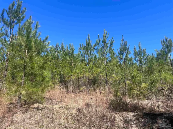 7 Robinsonville Rd, Atmore, AL 36502