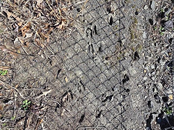 5th image of 726 Foster Chapel Rd