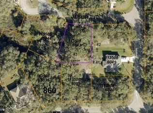 1135-08-6043 Jesup Ave, North Pt, FL 34288