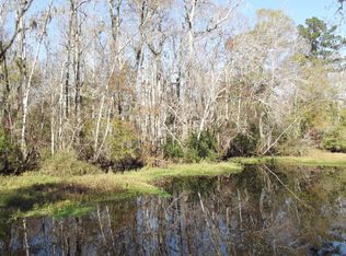 2136 Black Creek Trl, Green Cove Springs, FL 32043