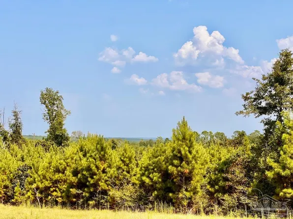24 Morgan Ln, Molino, FL 32577