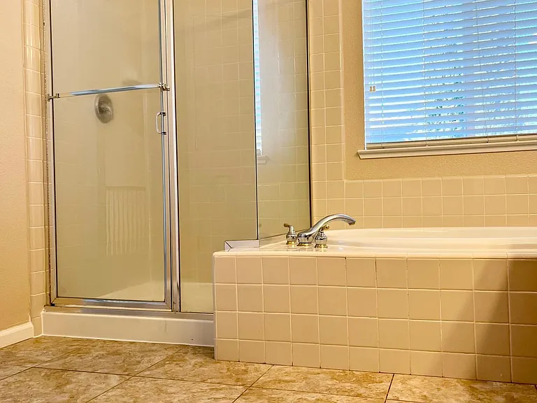 Master shower and bathtub