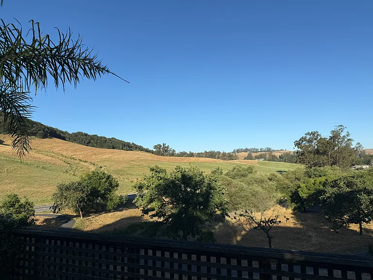 View from the backyard, looking toward Helen Putnam