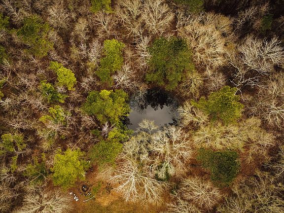 132 Copiah Bs Pics 3