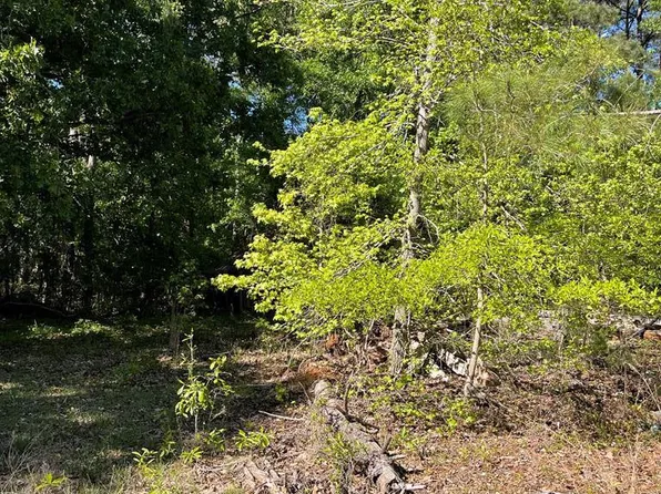 1402 Greenall Rd, Summerton, SC 29148