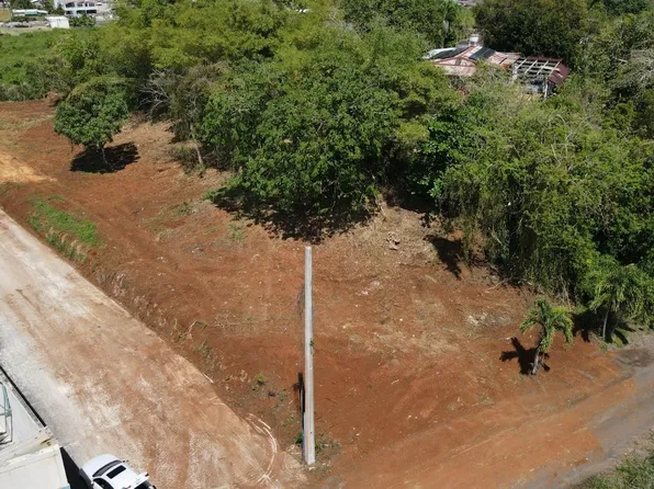 Pr4474 Bo Galateo Bajo Pr #4474, Isabela, PR 00662