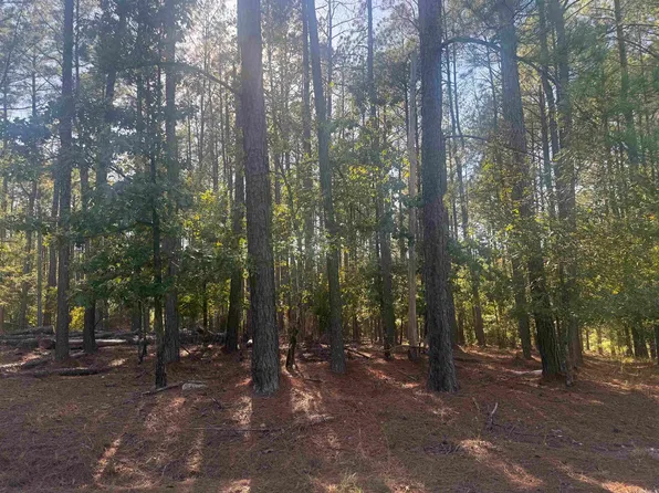 19 Vigoroso Ln, Hot Springs Village, AR 71909