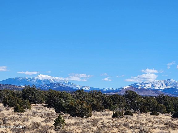 3rd image of 7211 E Roper Cir Lot C