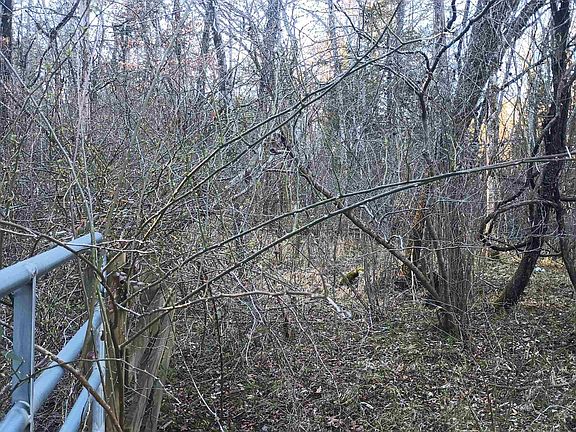 4th image of 0 W James Anderson Hwy