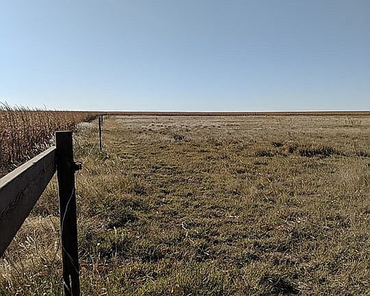 Fenced pasture
