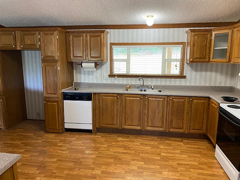 Kitchen View #1 with Dishwasher
