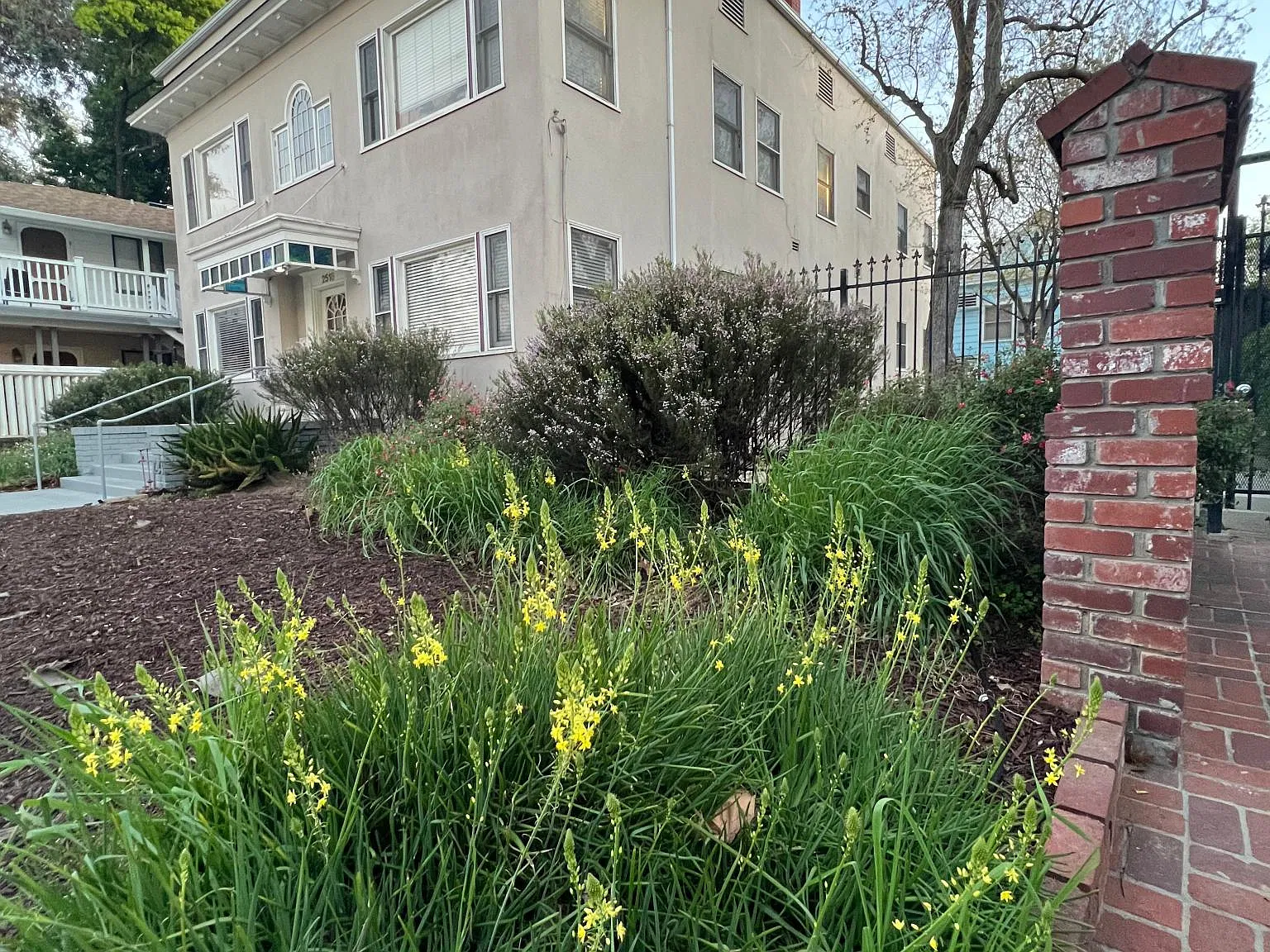 1 bed, 900 sqft, $2,150 — Photo 2