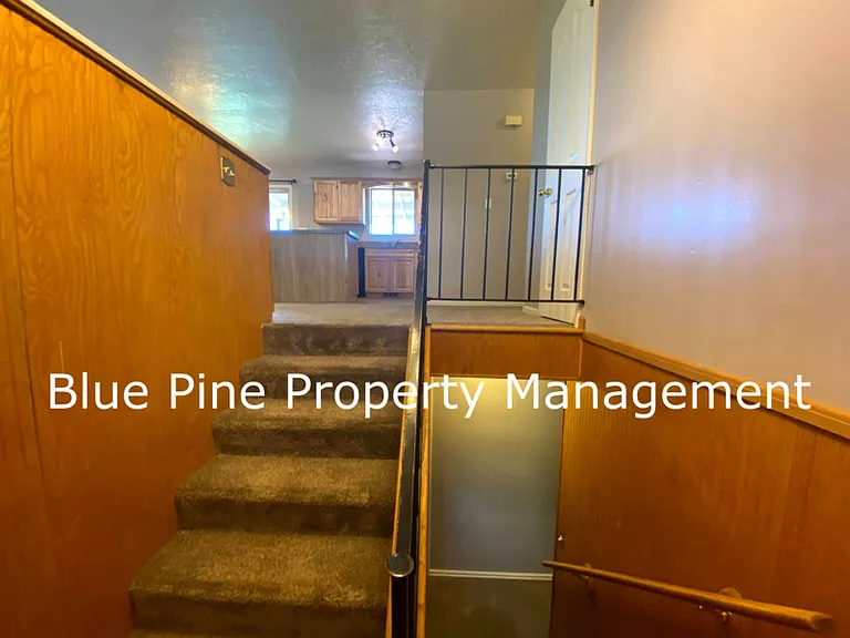2215 Sykes Dr — Photo 9