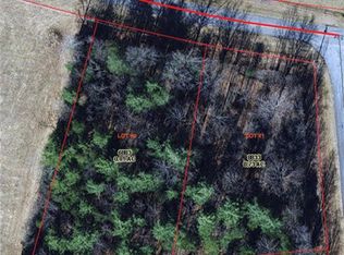 LOT 1 Possum Trot Rd #2, Thurmond, NC 28683