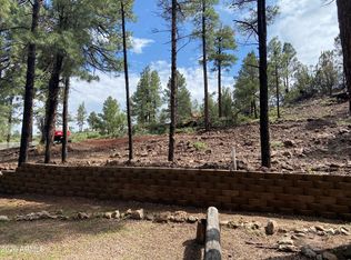 2820 Pine Hill Dr #20, Overgaard, AZ 85933