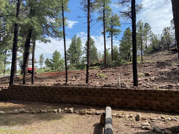 2820 PINE HILL Drive #20, Overgaard, AZ 85933