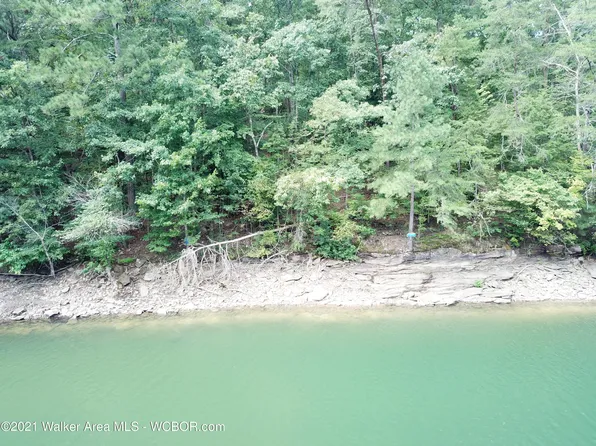 39 Brushy Ln, Arley, AL 35541