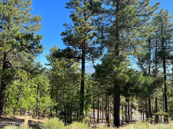 4140 S Big Sky Lot 200, Flagstaff, AZ 86005
