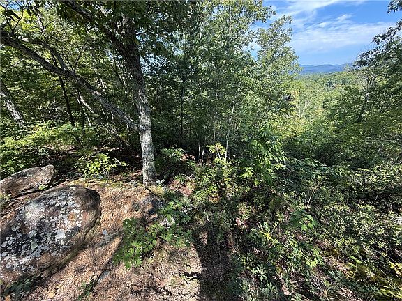 4th image of 1140 Packs Mountain Ridge Rd