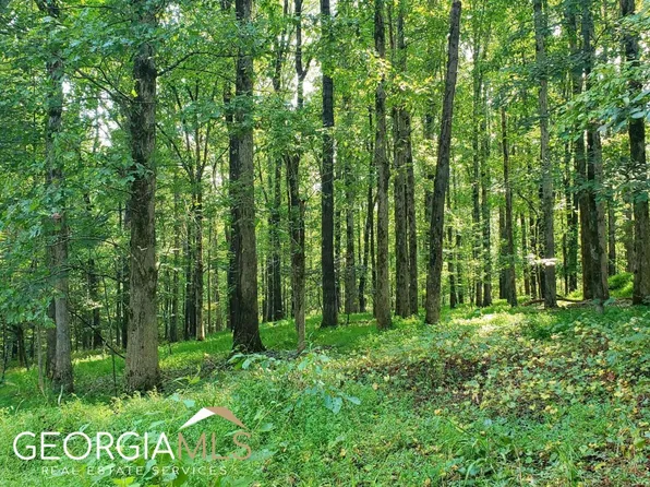 5140 Bryant Quarter Rd, Gillsville, GA 30543