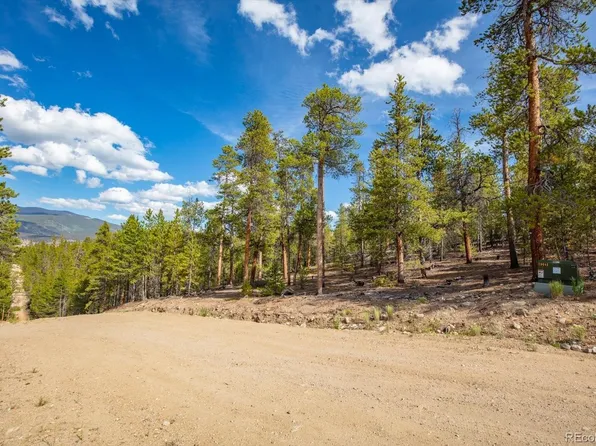 198 Lodgepole Drive LOT 59, Twin Lakes, CO 81251