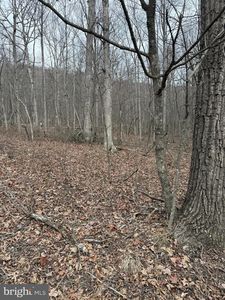 187 Mine Mountain Ln, Fort Valley, VA, 22652