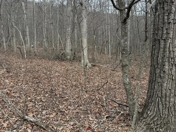 187 Mine Mountain Ln, Fort Valley, VA 22652
