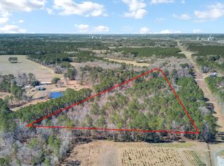 0 Hickory Nut Dr, Harleyville, SC 29448