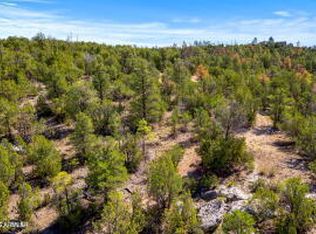 3654 Zane Grey Trl #59, Overgaard, AZ 85933