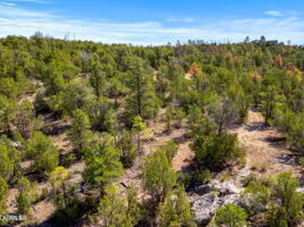 3654 ZANE GREY Trail #59, Overgaard, AZ 85933