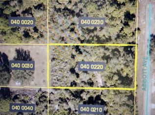 2319 Abbott Ave, Alva, FL 33920