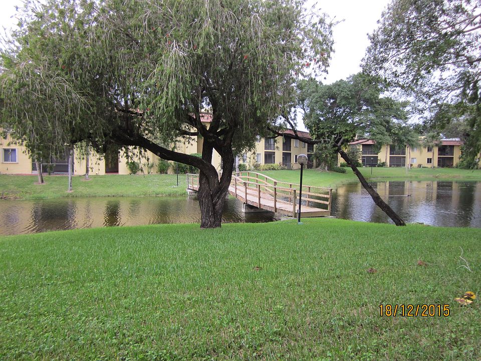 beautriful view of the lake 