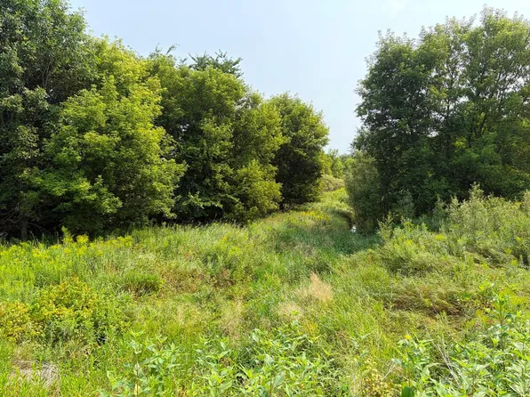 Lands Along 160th Avenue & 315th St, Glenwood City, WI 54013