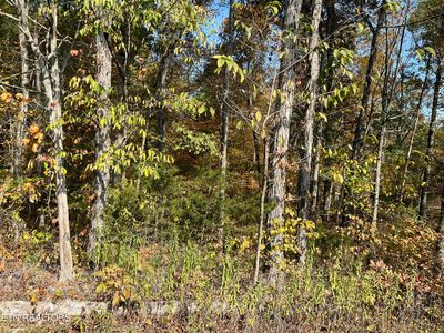 269 Elohi Way, Loudon, TN, 37774