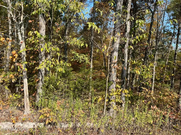 269 Elohi Way, Loudon, TN 37774