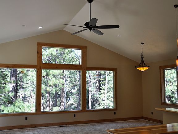 Forest view