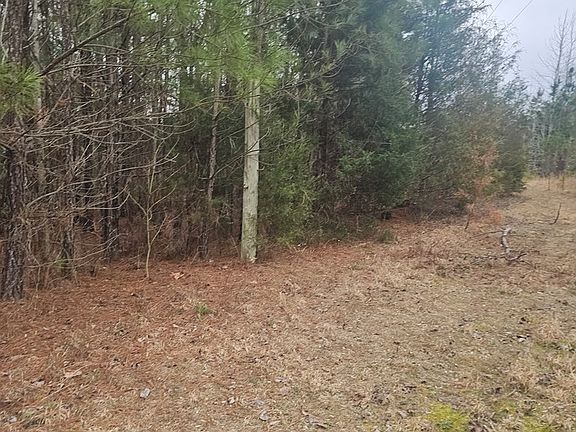 5th image of 573 Cotton Creek Rd