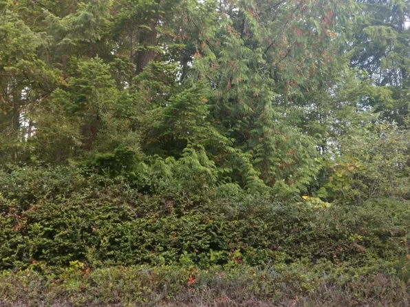 18417 To 18419 Rouse Rd SW, Lakebay, WA 98349