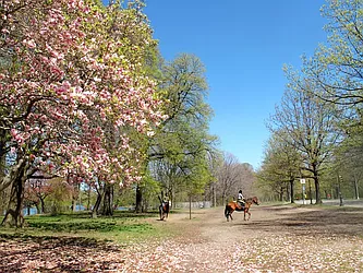 Rented by FirstService Realty (legacy)