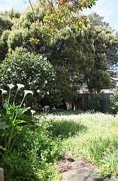 3rd image of 437-439 23rd Ave