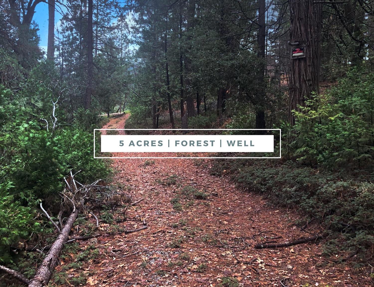 8600 Skunk Hollow Ln, Rail Road Flat, CA 95248 Zillow