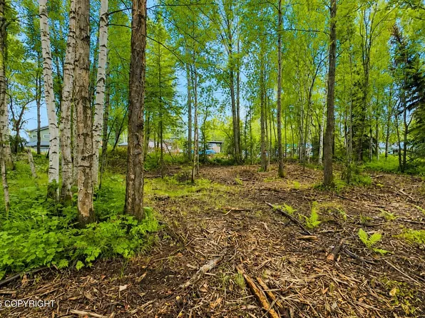 L4 Zurich St, Anchorage, AK 99507