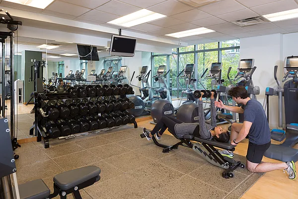 Rented by The Albanese Organization | media 5